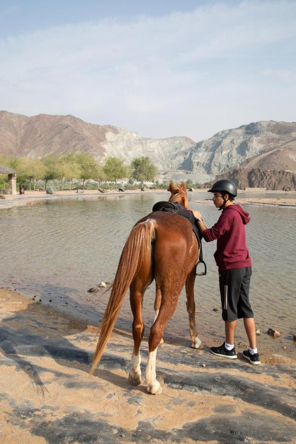 Hatta Sedr Trailers Resort Exterior photo